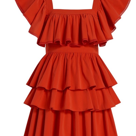 Toccin Ruffle Mini Dress - Picture 4 of 6